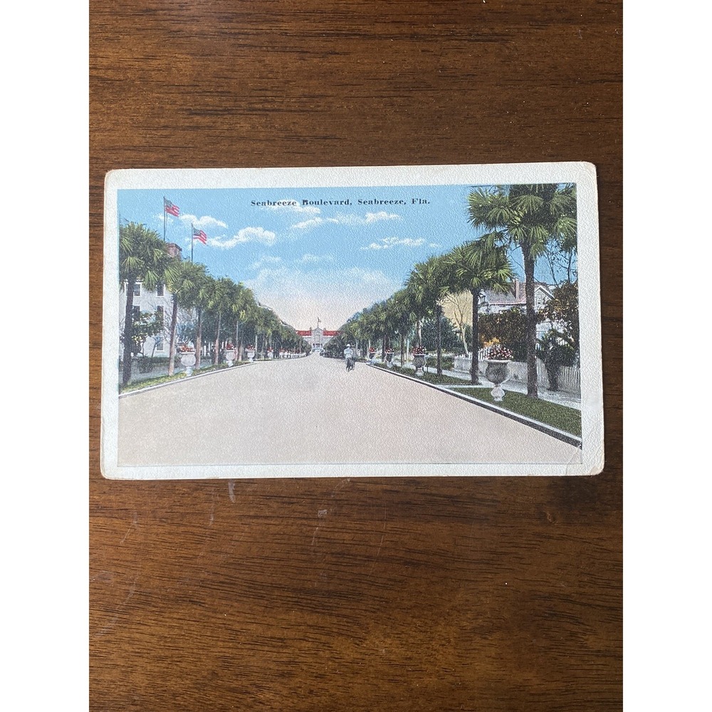 Vintage‎ Postcard Seabreeze Boulevard Sea Breeze Florida 1920s White Border